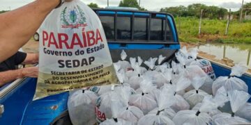 Sedap-PB distribui mais de 150 mil alevinos para o repovoamento de açudes de cinco municípios no Sertão