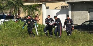 Prefeitura de Alhandra resgata recém-nascido abandonado em Cupissura