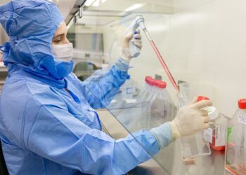 Estudo usa células-tronco contra complicações do transplante de medula