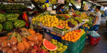 Regimento Interno dos Mercados Públicos de João Pessoa assegura organização, uso adequado e gestão eficiente