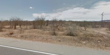 Cinco cidades paraibanas entram em situação de emergência por causa da estiagem