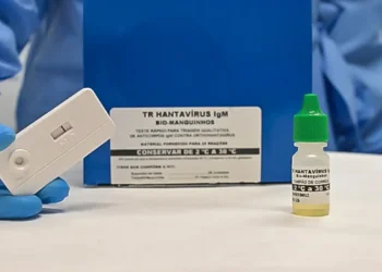 Paraná confirma dois casos de hantavírus e mantém monitoramento da doença no estado