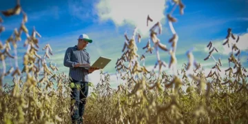 Falta de mão de obra desafia o agro e impulsiona programas de formação