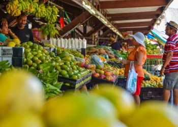 Divulgado funcionamento de mercados, feiras e shoppings populares