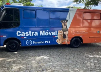 Paraíba disponibiliza 600 vagas para castração de cães e gatos a partir de segunda-feira (29)