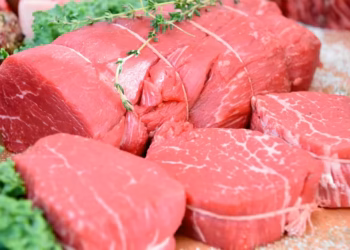 Veto à carne do Brasil: por que a União Europeia quer mais controle sobre antibióticos na pecuária