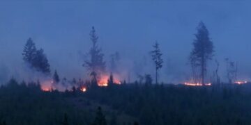 Bélgica enfrenta o maior incêndio florestal de sua história